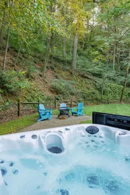cozy cabin tucked in 5ac of private woods~BUCKNELL - Image 2