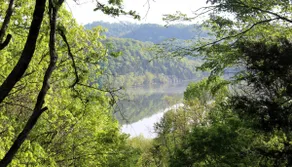 Superhost Gem: 8 min to Beach, Near Waterfalls - Image 2