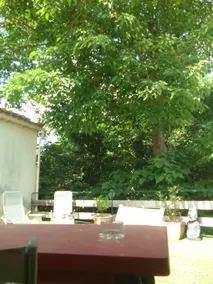 Cozy studio in the trees - Image 5