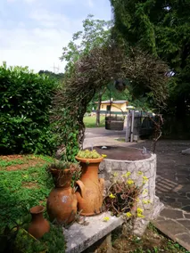 Casa al Pino - Image 4