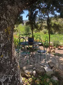 Wonderful World, Country Retreat - Image 2
