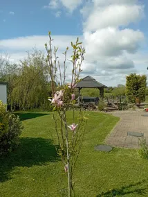 The Gate House - Image 2