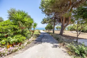 Casa Di Mare - Studios and Apartments with pool on the beach, by ZanteWize - Image 5