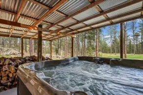 Needles Nest: Secluded Cabin with Hot Tub - Image 3