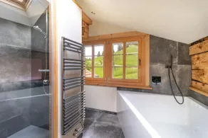 Apartment Chalet Grittelihus, between Interlaken - Gstaad - Image 5