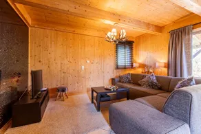 Vacation home # 124 with 4 bedrooms and IR sauna - Image 4