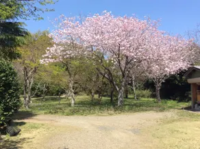 30 minutes from Narita Airport/Owner's Annex - Image 4