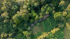 Secluded Honeymoon Escape with Heated Plunge Pool - Image 4
