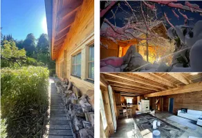 Forest-edge chalet with sauna, 30 min to Frankfurt - Image 2