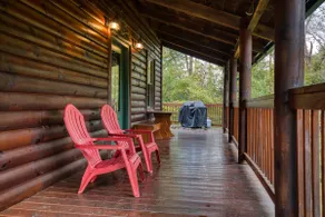 Secluded woodland cabin near South Holston River - Image 3