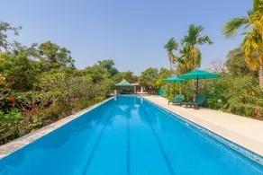 StayVista's Casa Palmera - 6BHK Pet-Friendly Villa with Private Pool - Image 2