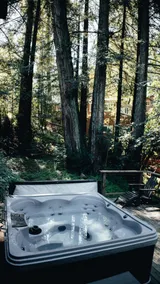 The Black Sheep - Wine Country • Hot Tub • Theater - Image 4