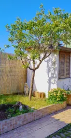 Shanti Ca' detached house with garden - Image 4