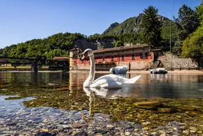 Casa Allegra, your holiday on Como Lake - Image 3