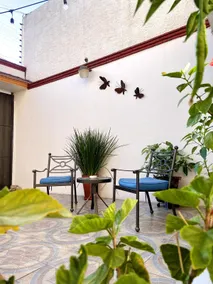 Cozy and comfortable Guaje apartment with A/C - Image 4