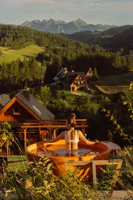 Holenderski Spisz Villa with Breakfast, Sauna, Hot Tub - Image 3