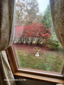 Get-away Cabin - Image 5