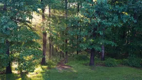Peaceful Family-Friendly Retreat Near DC · Pet OK - Image 5