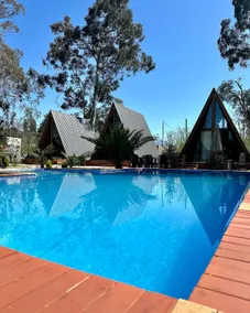 ”Eucalyptus” _Eucalyptus ❤️ - Image 5