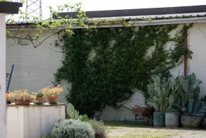 il Quadrifoglio vintage-style rooms - Image 4