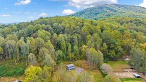 Old Rag Cottage - sunny 2 bedroom near everything - Image 3