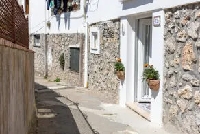 La Necussella - Image 4