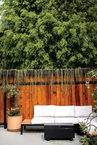 Echo Park 4BR Historic Designer Bungalow—near DTLA - Image 5