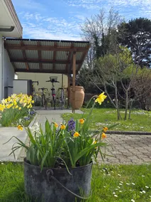 2BR Apartment • Fast Wi-Fi • Parking • EPFL • SwissTech • Unil - Image 5