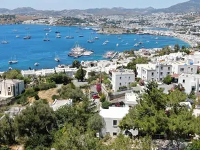 Panoramic View, Forest, in the heart of Bodrum - Image 3