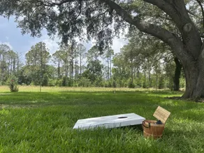 The Brickstone Home-Designed with families in mind - Image 2