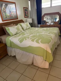 Affordable oceanfront 1BR. Stunning view, beaches - Image 4