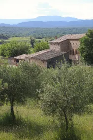 Mas de Lascombe in Saint-André-de-Cruzières - Image 2