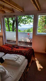 Enna's cheerful Balaton Cottage with lake view - Image 5