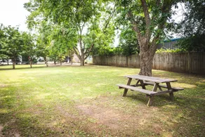 Entire Home, Near Dining & Shopping, Queen Beds - Image 5