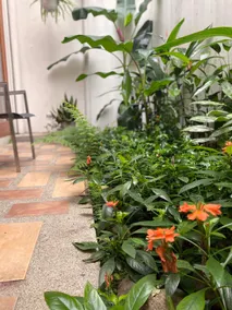 Apartment with tropical garden in Bº Escalante! - Image 3
