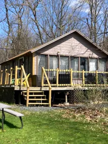 River cabin 8 - Peaceful & rustic notty pine - Image 3