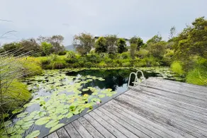 Nimbin Village Sanctuary - Waterhole Suite - Image 2