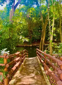 ÁGUAS da SERRA - RIO QUENTE - Image 3