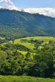 Amora Suite | Enjoy the Serra da Cuesta - Image 2