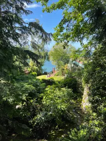 Heron Cove Cottage - Image 2