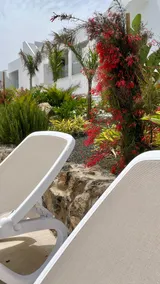 Casa Domino - Image 2