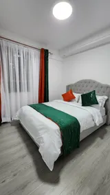Luxurious Apartment for rent - Image 4