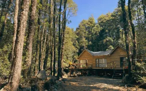 Los Pitiwes Cabin | Coñaripe | Forest & Hot Springs - Image 2