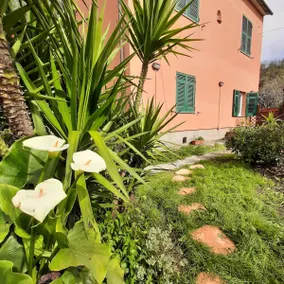 Dal Moro 44 - Image 4