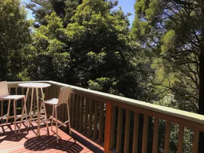Sassafras Treehouse - Image 3