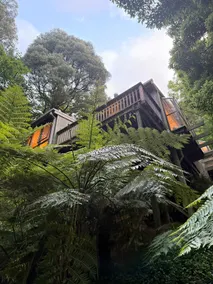 Sassafras Treehouse - Image 5