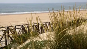 Close to the beach and next to the Portil Lagoon - Image 5