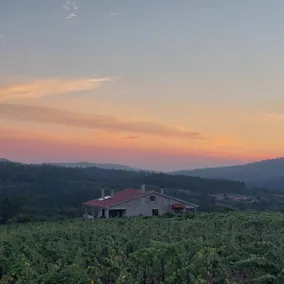 Cottage with Vineyard Pool - Image 4
