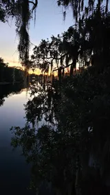 Family Fun Home on the River: Dogs Welcome - Image 5