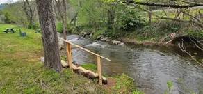 Pre-Civil War Log Cabin Private Creek Pet-Friendly - Image 3